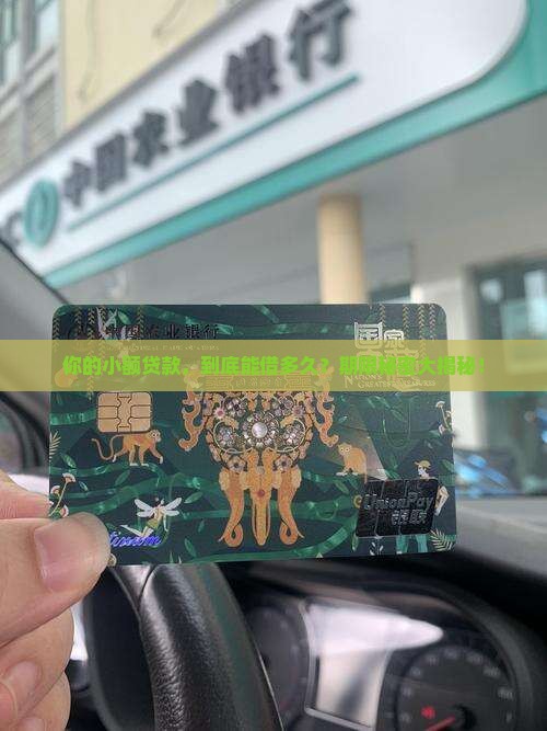 小额贷款的贷款期限规定
