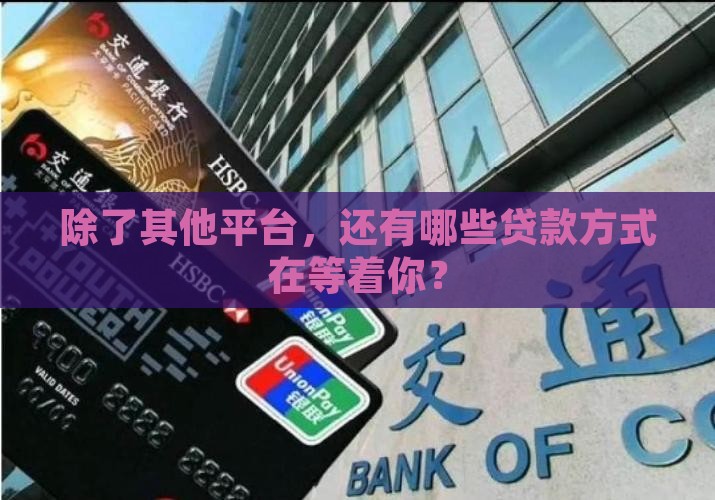 其他平台上还有哪些贷款