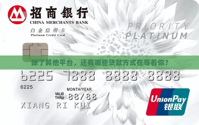 其他平台上还有哪些贷款