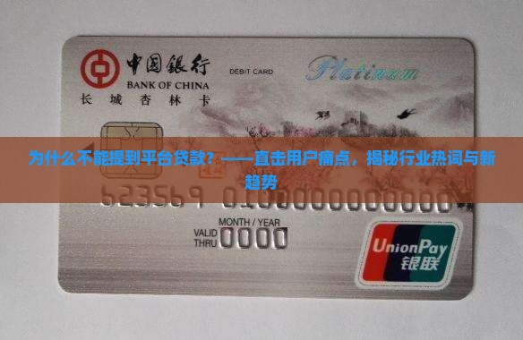 为什么不能提到平台贷款