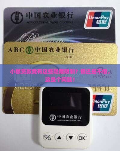 小额贷款限制借款