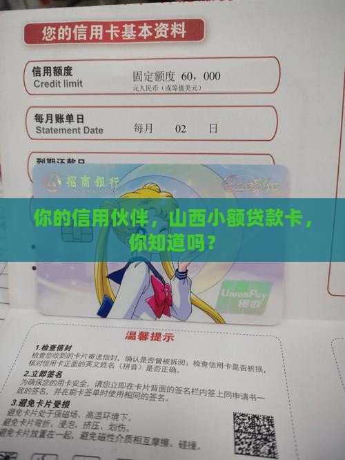 山西信用社小额贷款卡