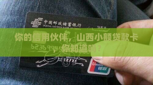 山西信用社小额贷款卡