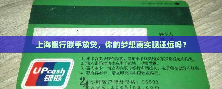 上海银行联合放贷款