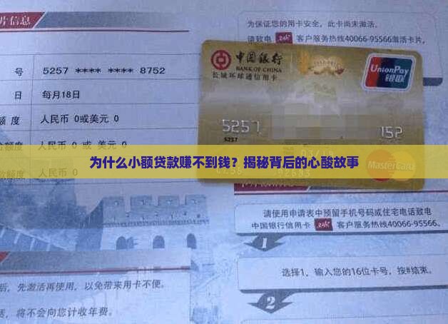 为什么小额贷款不挣钱