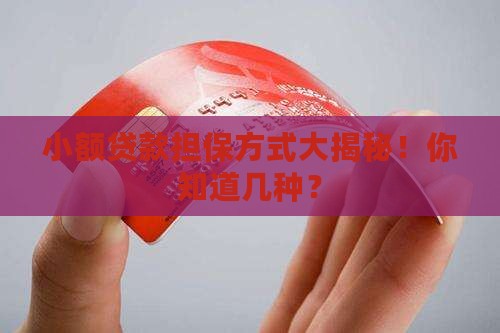 小额贷款有几种担保方式