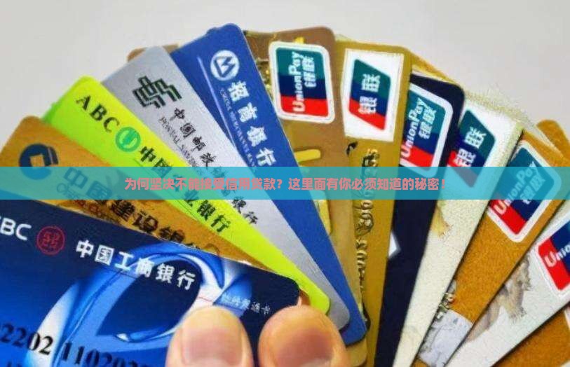 不得向发放信用贷款