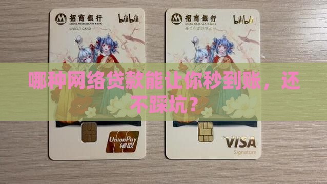 什么网络贷款才能下款快