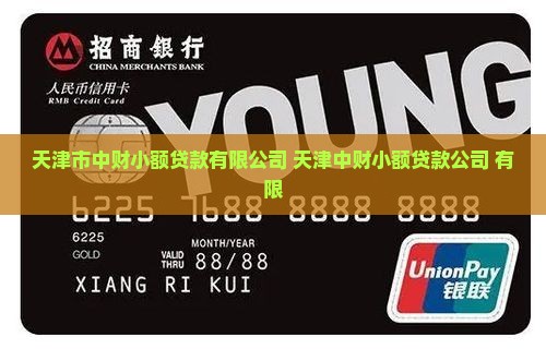 天津市中财小额贷款