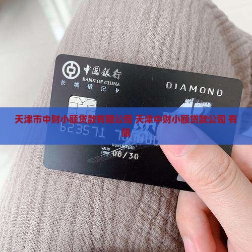 天津市中财小额贷款