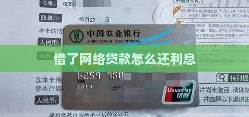 借了网络贷款怎么还利息
