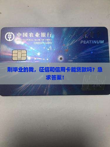 征信和信用卡能贷款吗