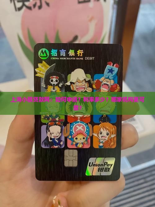 上海小额贷款网