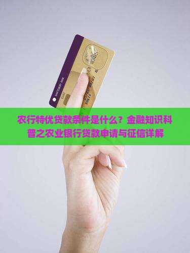 农行网捷贷特优贷款条件