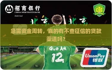 不用查征信的网络贷款吗