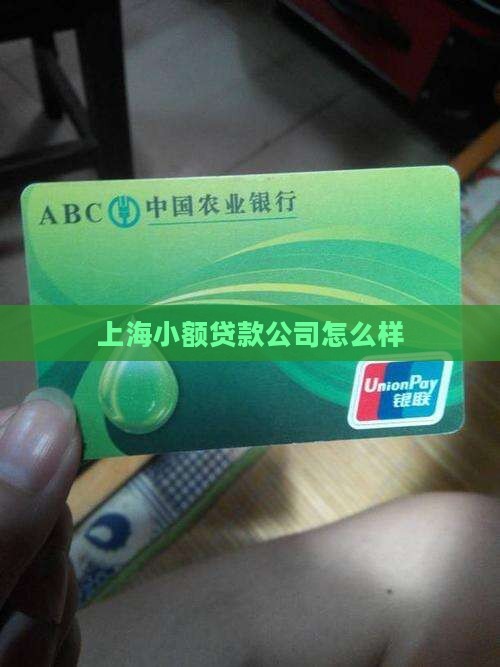上海华诚小额贷款怎么样
