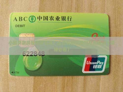 小额贷款房屋抵押后果