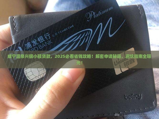 咸宁温泉兴银小额贷款