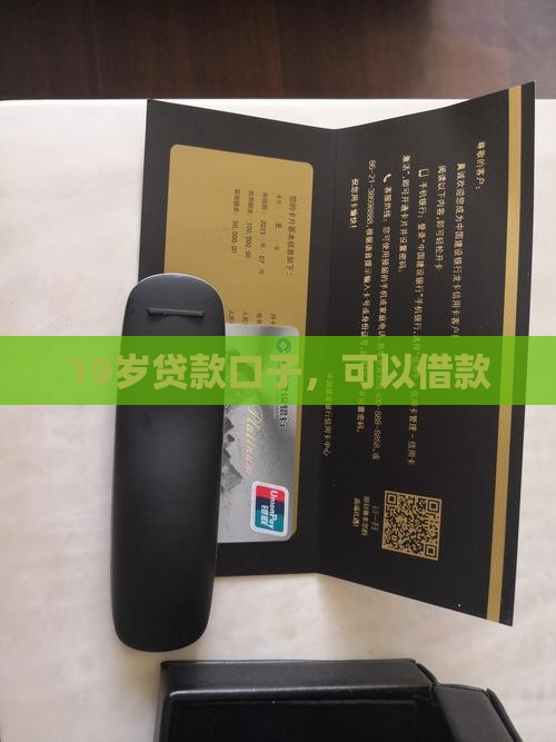 19岁分期贷款口子