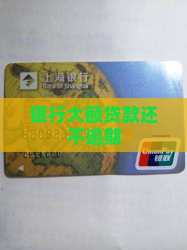 大额银行贷款拖欠