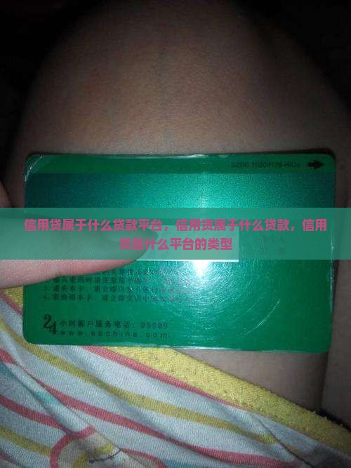 信用贷属于什么贷款平台