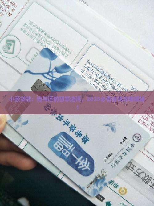 小额贷款谁借谁还合适