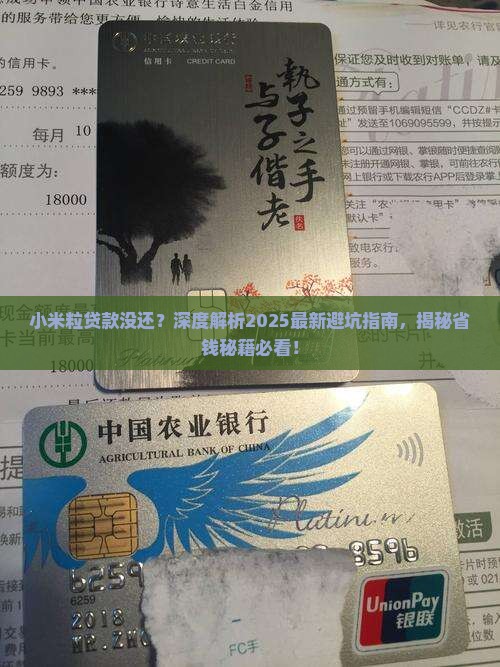 小米粒贷款没还