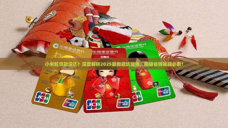 小米粒贷款没还