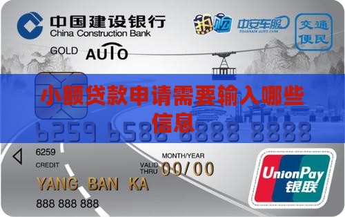 小额贷款需要输入信息吗