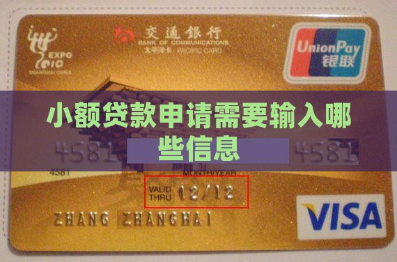 小额贷款需要输入信息吗