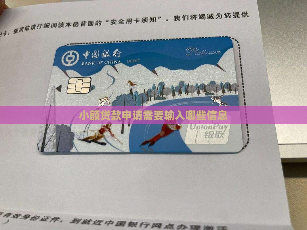小额贷款需要输入信息吗