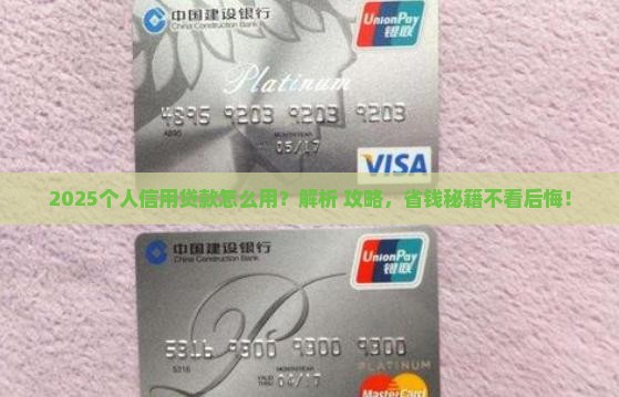 怎么用个人信用贷款