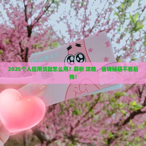 怎么用个人信用贷款