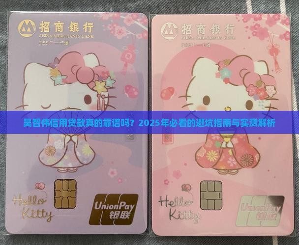 吴智伟信用贷款