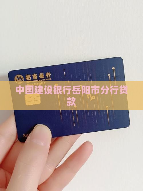 岳阳建设银行分行贷款