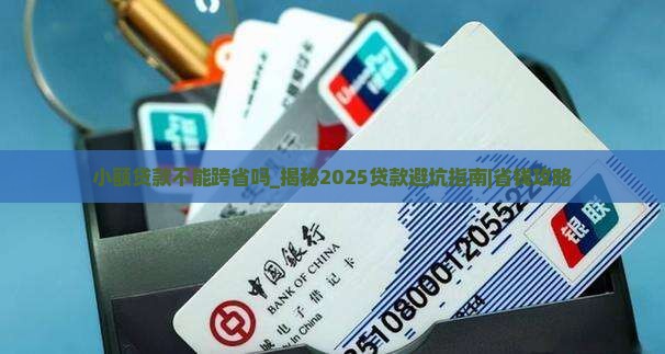 小额贷款不能跨省吗