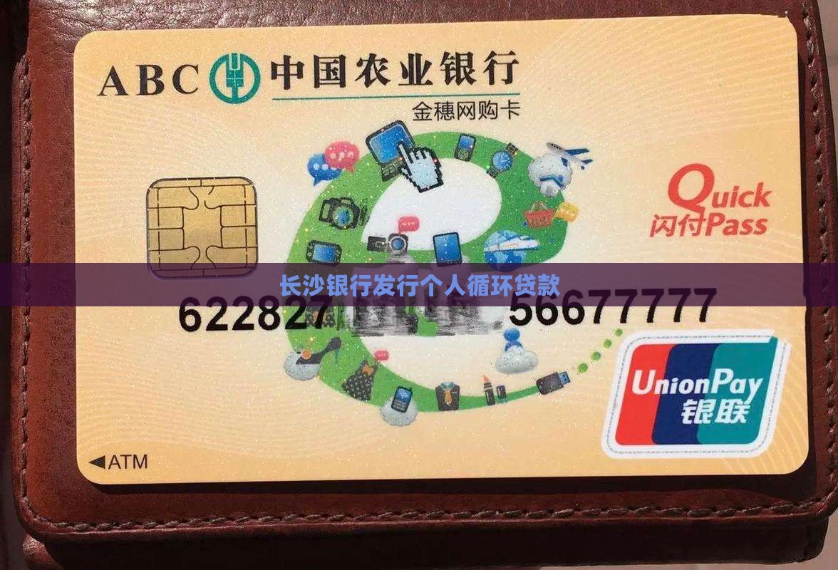 哪个银行的循环贷款吗 哪个银行的循环贷款吗