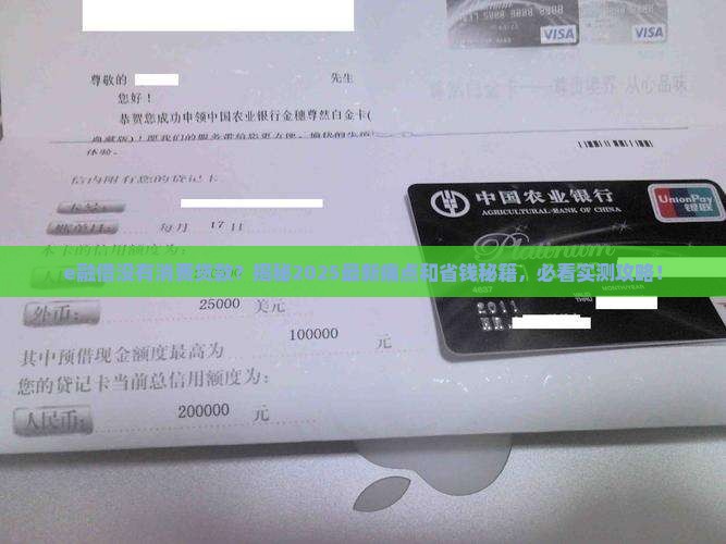 e融借没有消费贷款