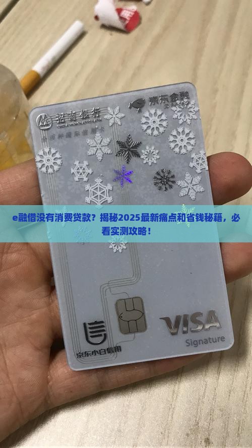 e融借没有消费贷款