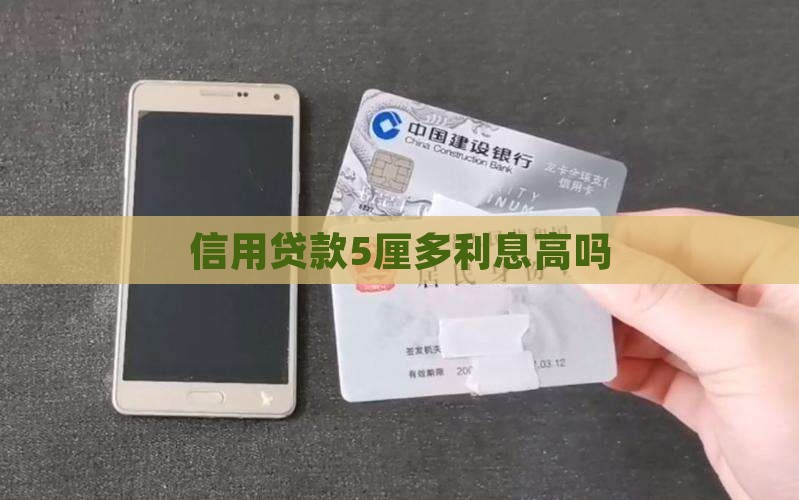 信用贷款5厘多利息高吗