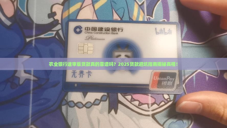 农业银行速审版贷款
