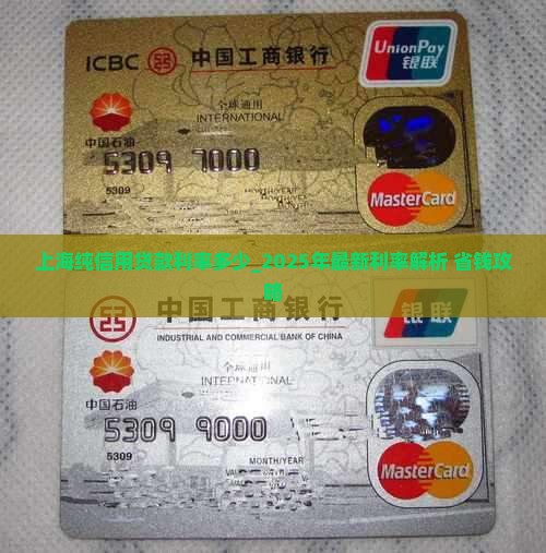 上海纯信用贷款利率多少