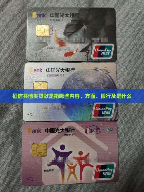 征信其他类贷款是指哪些