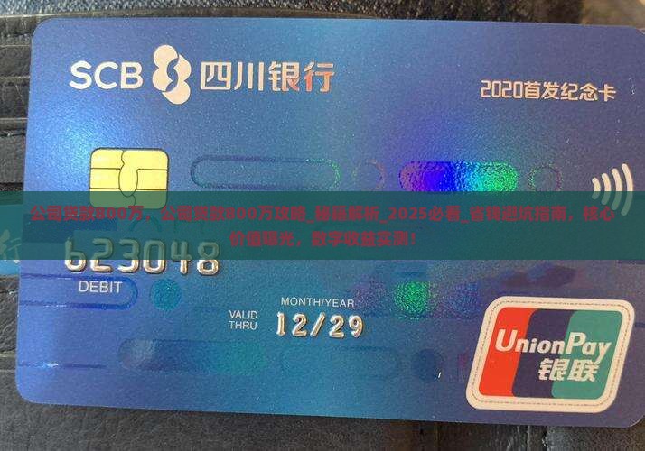 公司贷款800万
