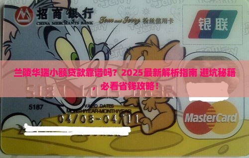 兰陵华瑞小额贷款