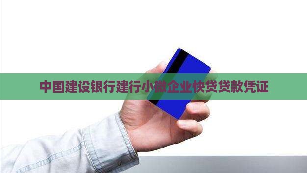建行小微快贷贷款凭证