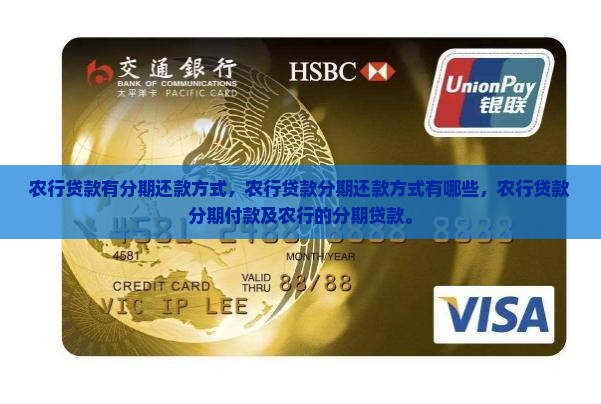农行贷款有分期还款方式