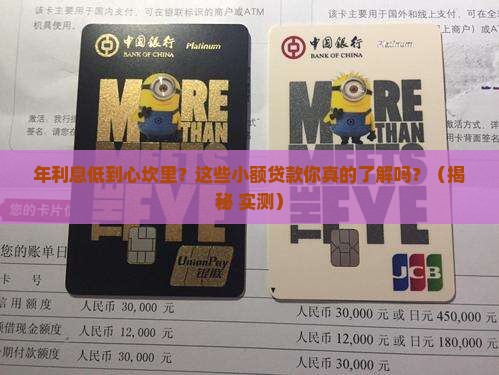 哪一个小额贷款年利息低