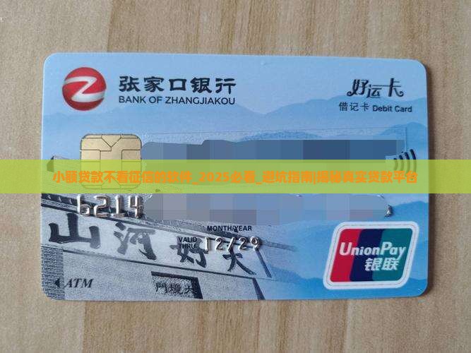 小额贷款不看征信的软件