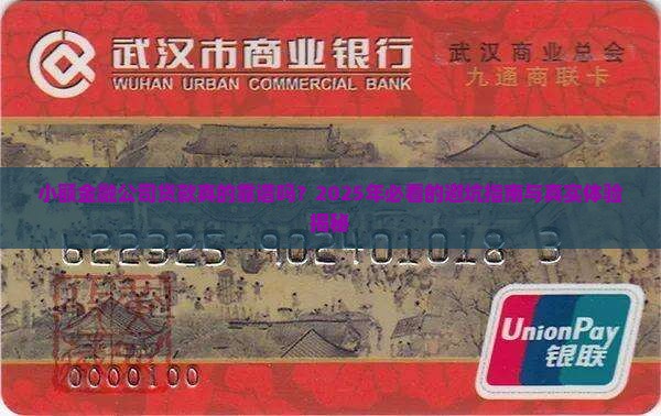 小额金融公司贷款